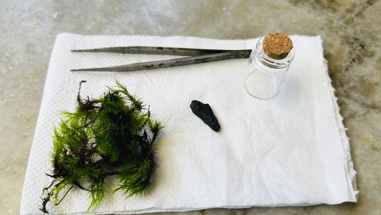 Items for the tiny terrarium