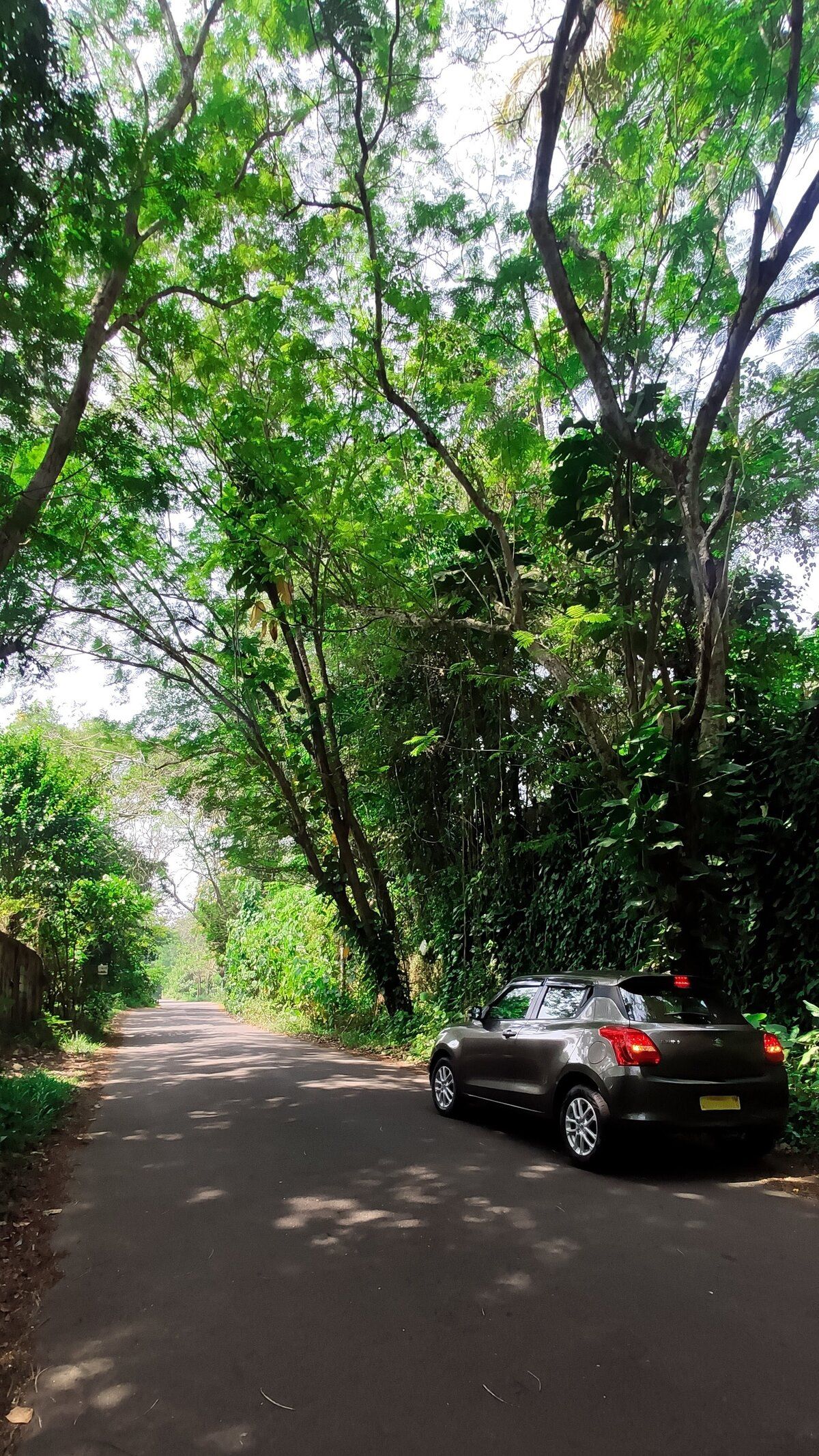 My car in a nature scenic beauty