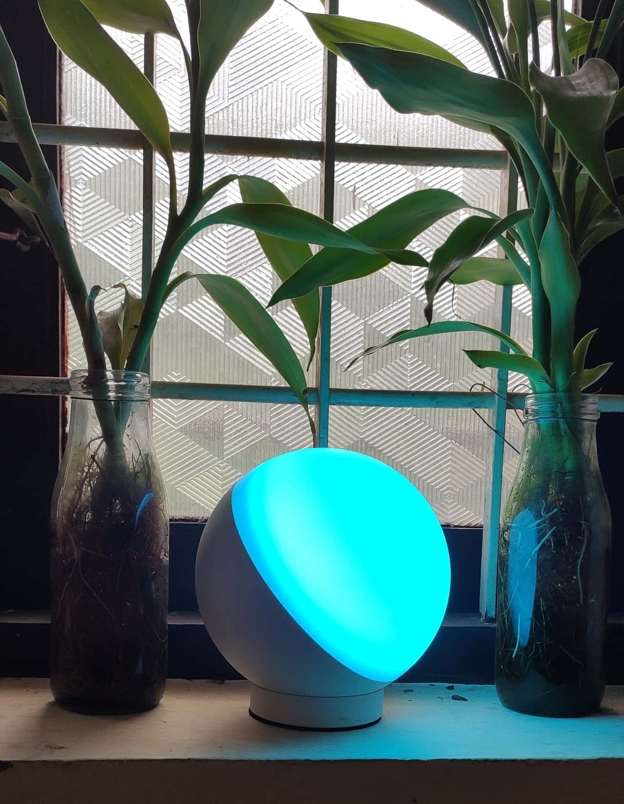 The story of a light bulb