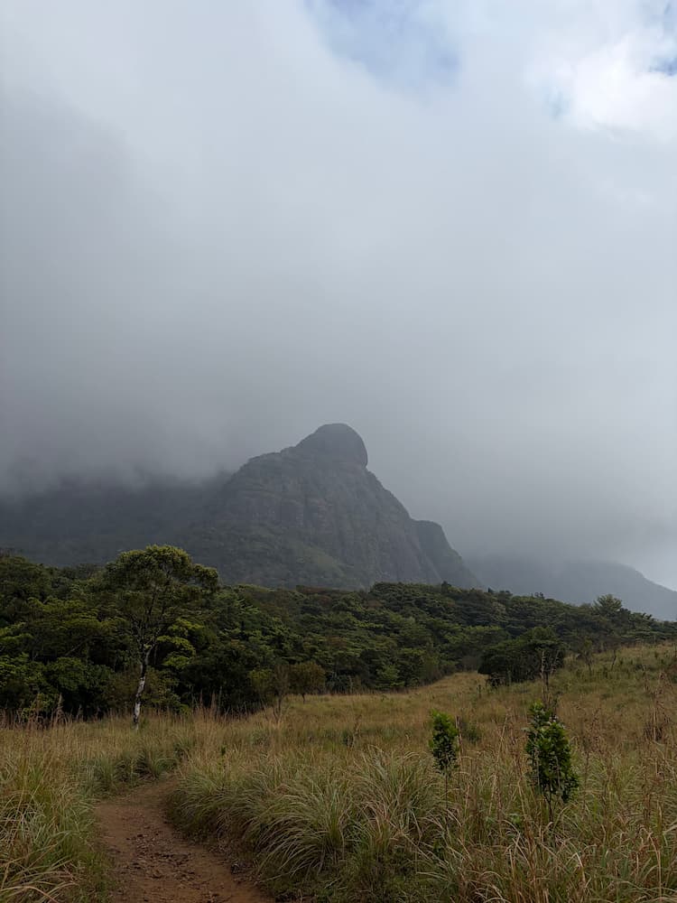 A view of Agasthyarkoodam