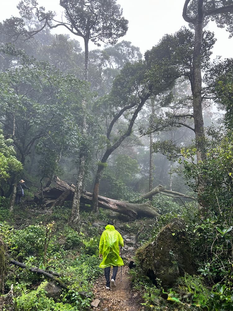 Treking to the top of Agasthyarkoodam