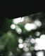 Ghosts of Light