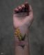 Veins of Petals