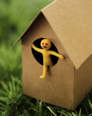 Peeking at the World