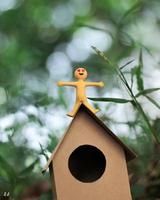 The Cardboard Kingdom