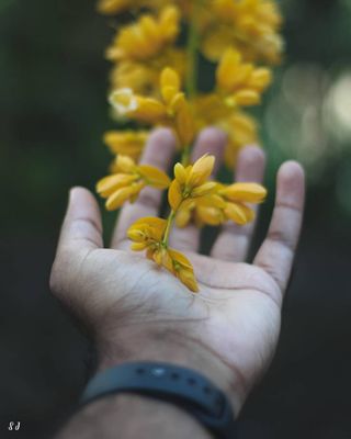 The Floral Grasp