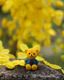Bear of the Blooms