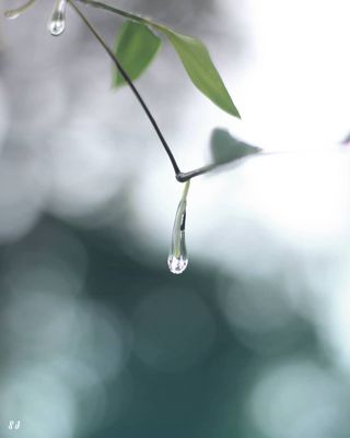 Rain’s Jewel