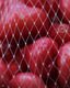 The Mesh of Plenty