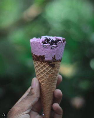 Cone of Berry