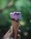 Cone of Berry