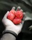 Offering of Red