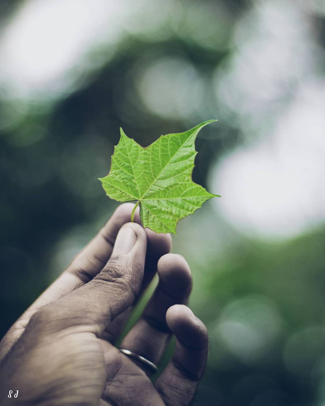 The Gentle Reach
