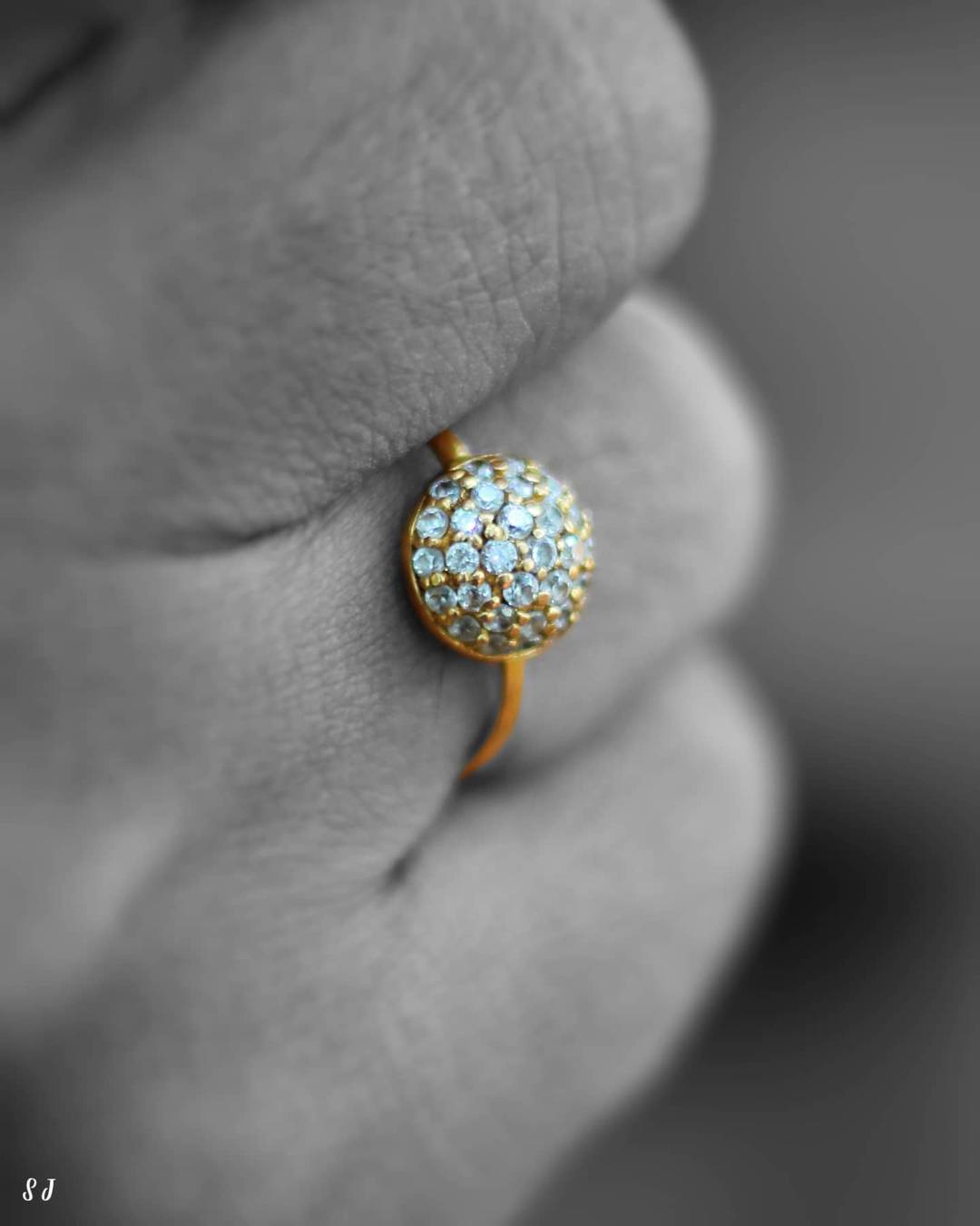 The Golden Promise