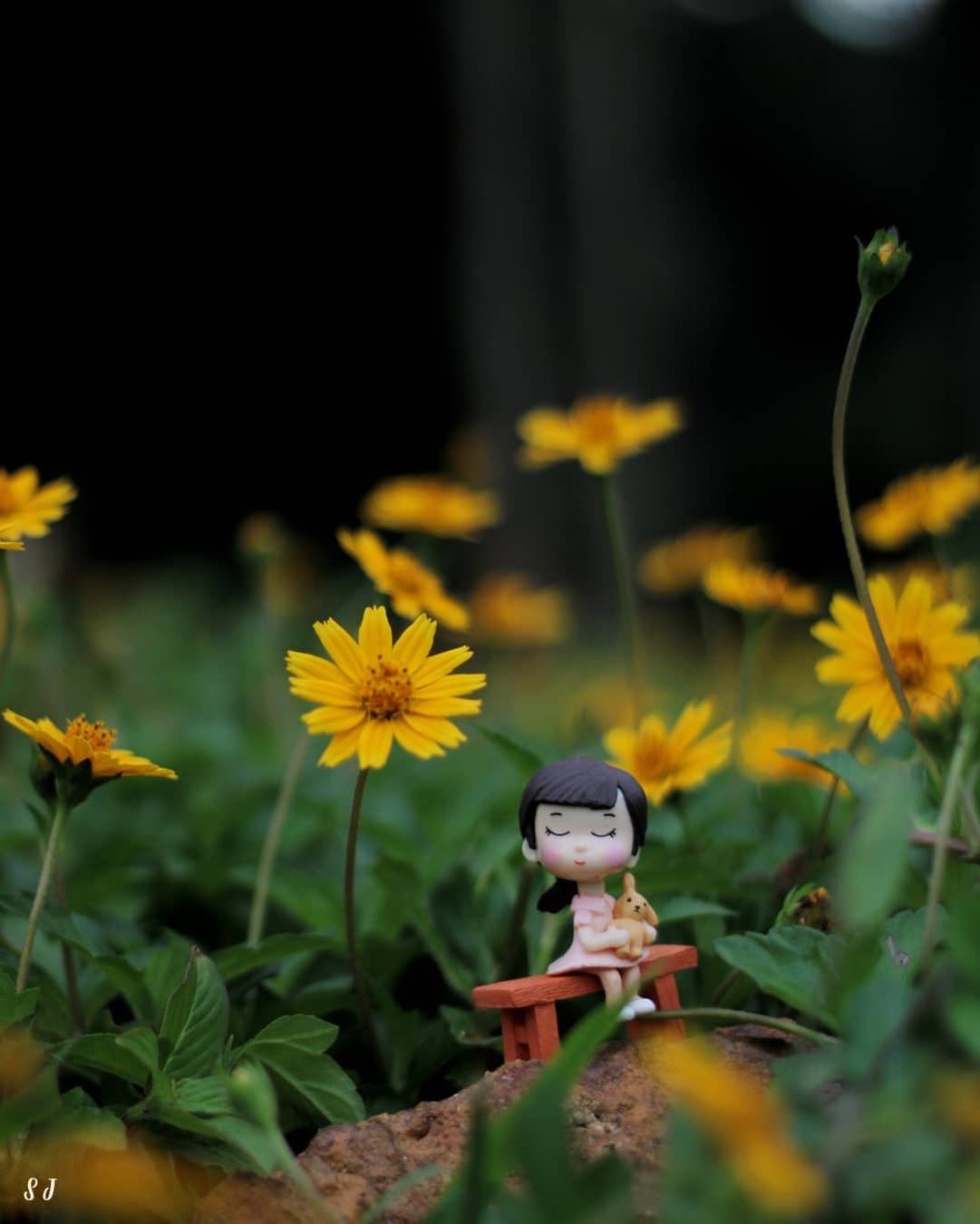 Waiting in the Blooms