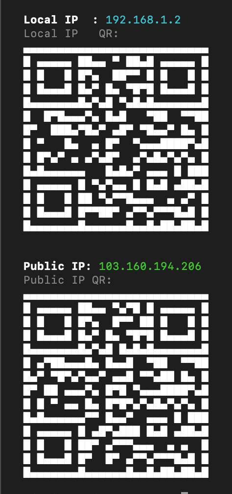 See My IP terminal screenshot